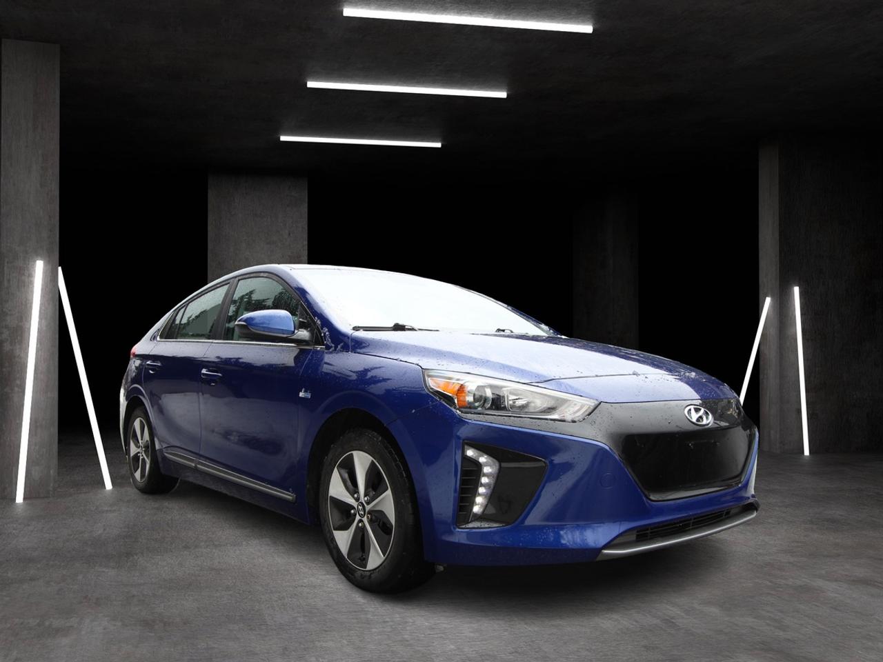 2019 Hyundai Ioniq Electric Limited Photo2