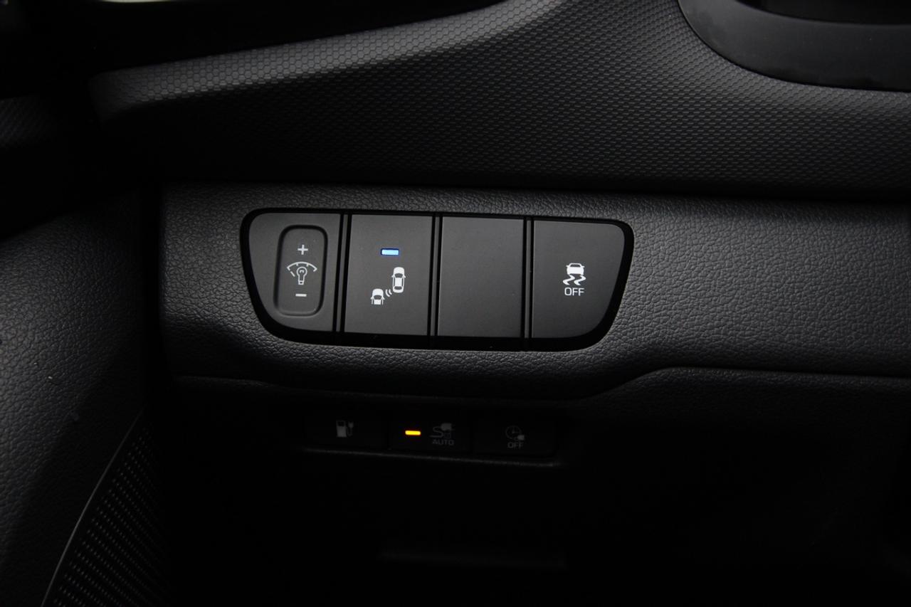 2019 Hyundai Ioniq Electric Limited Photo