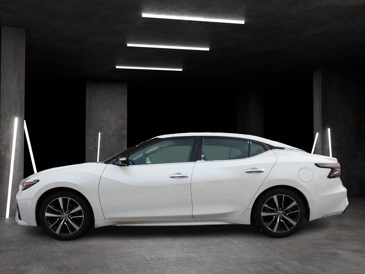 2022 Nissan Maxima SL Photo