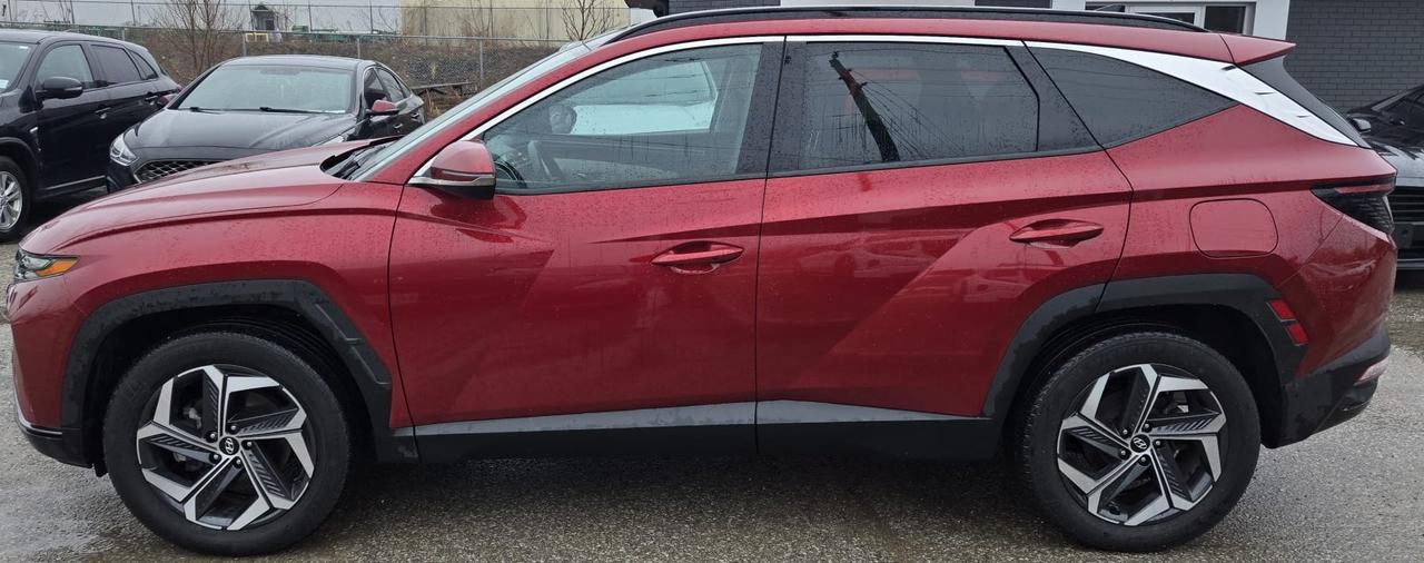 2024 Hyundai Tucson Hybrid LUXURY / NO ACCIDENTS / HYBRID / AWD / PANO ROOF Photo