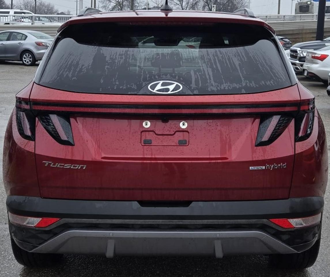 2024 Hyundai Tucson Hybrid LUXURY / NO ACCIDENTS / HYBRID / AWD / PANO ROOF Photo2