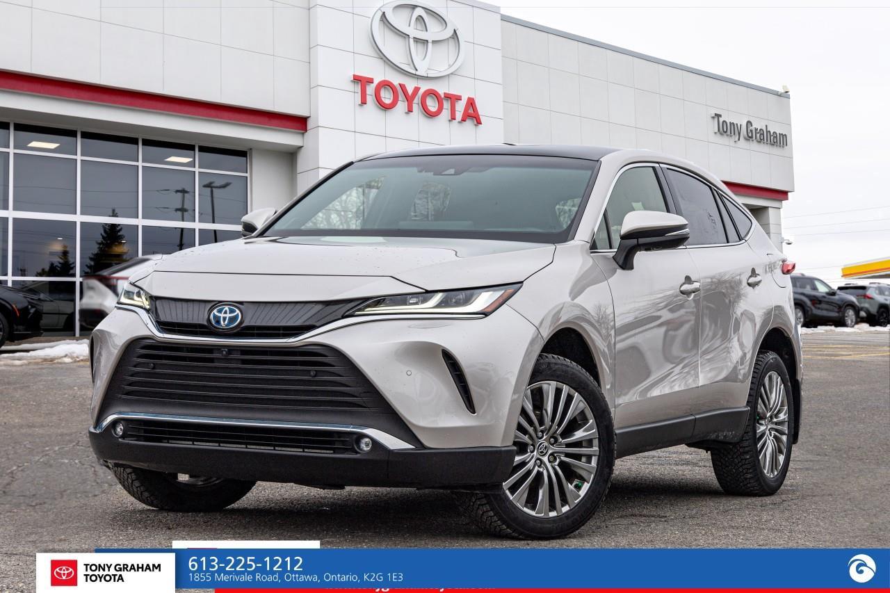 2022 Toyota Venza LIMITED Photo