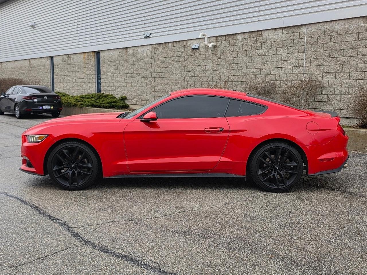 2016 Ford Mustang FASTBACK PREMIUM-AUTOMATIC-LEATHER-LOADED Photo