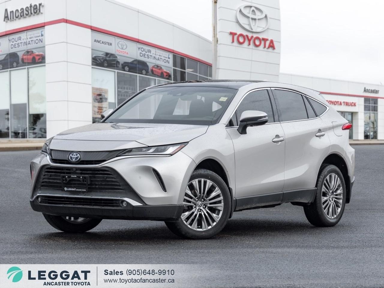 2024 Toyota Venza LIMITED AWD Photo