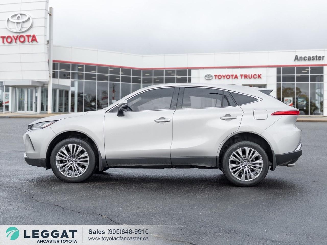 2024 Toyota Venza LIMITED AWD Photo
