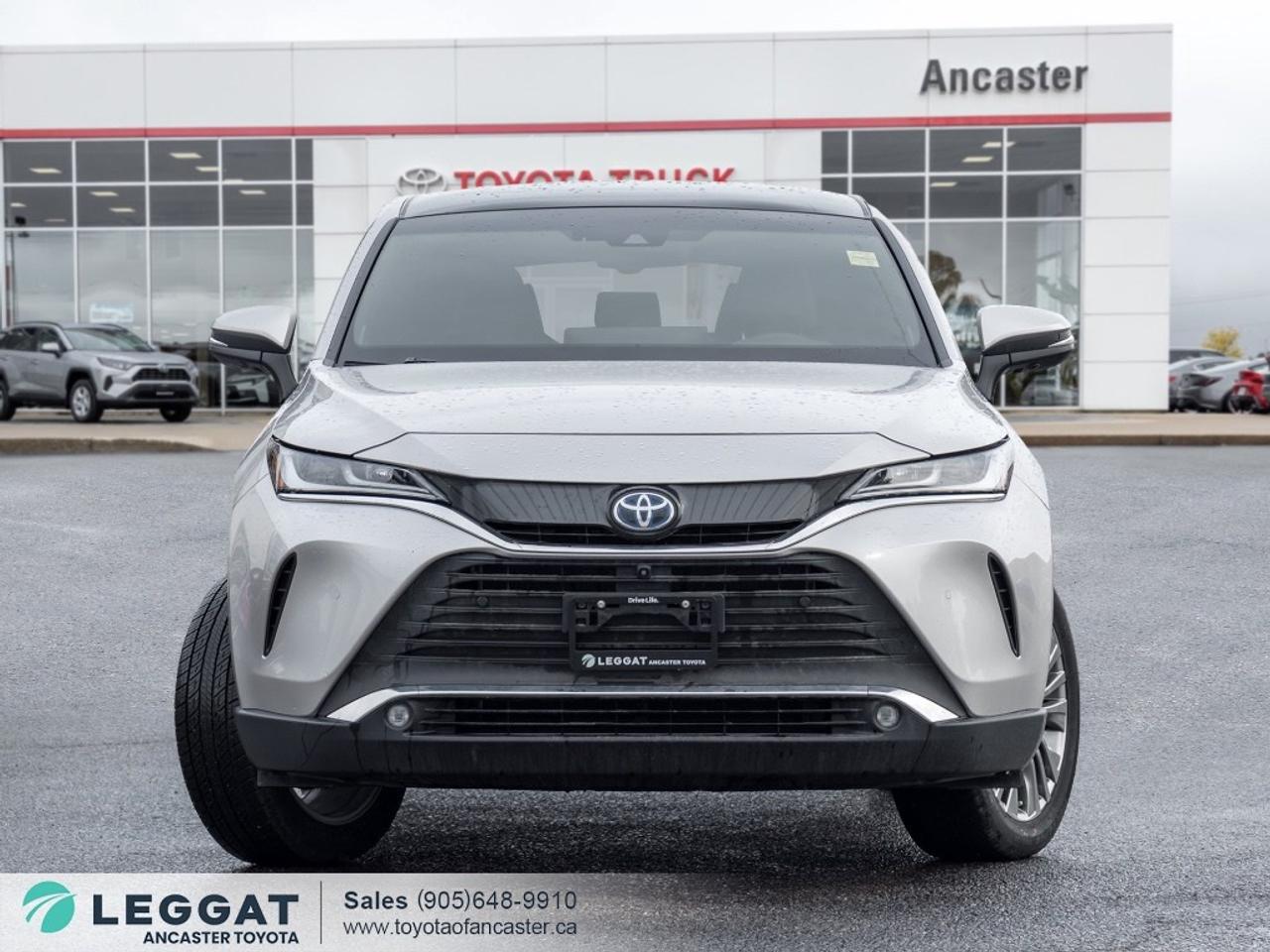 2024 Toyota Venza LIMITED AWD Photo