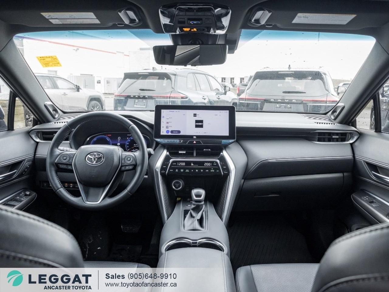 2024 Toyota Venza LIMITED AWD Photo