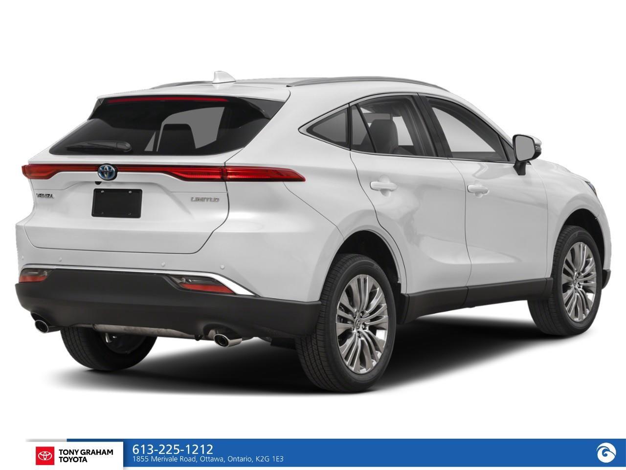 2024 Toyota Venza LIMITED Photo