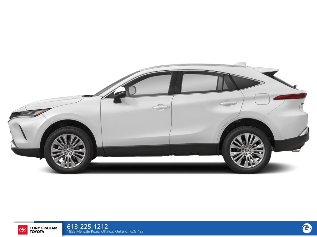 2024 Toyota Venza LIMITED Photo