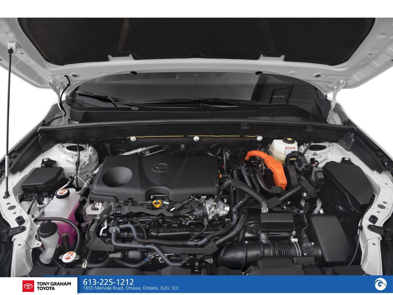 2024 Toyota Venza LIMITED Photo