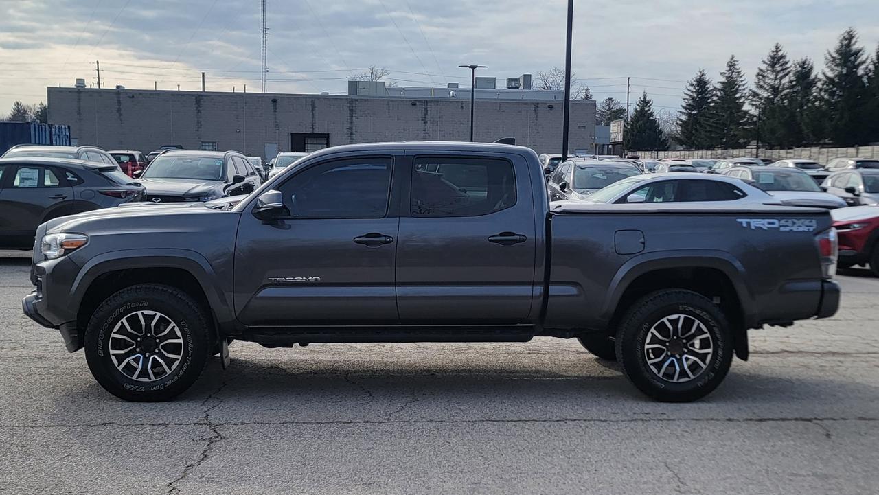 2020 Toyota Tacoma  Photo