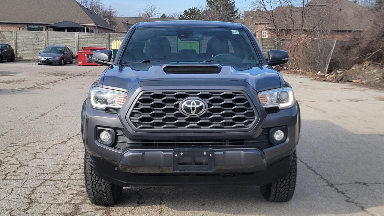 2020 Toyota Tacoma  Photo