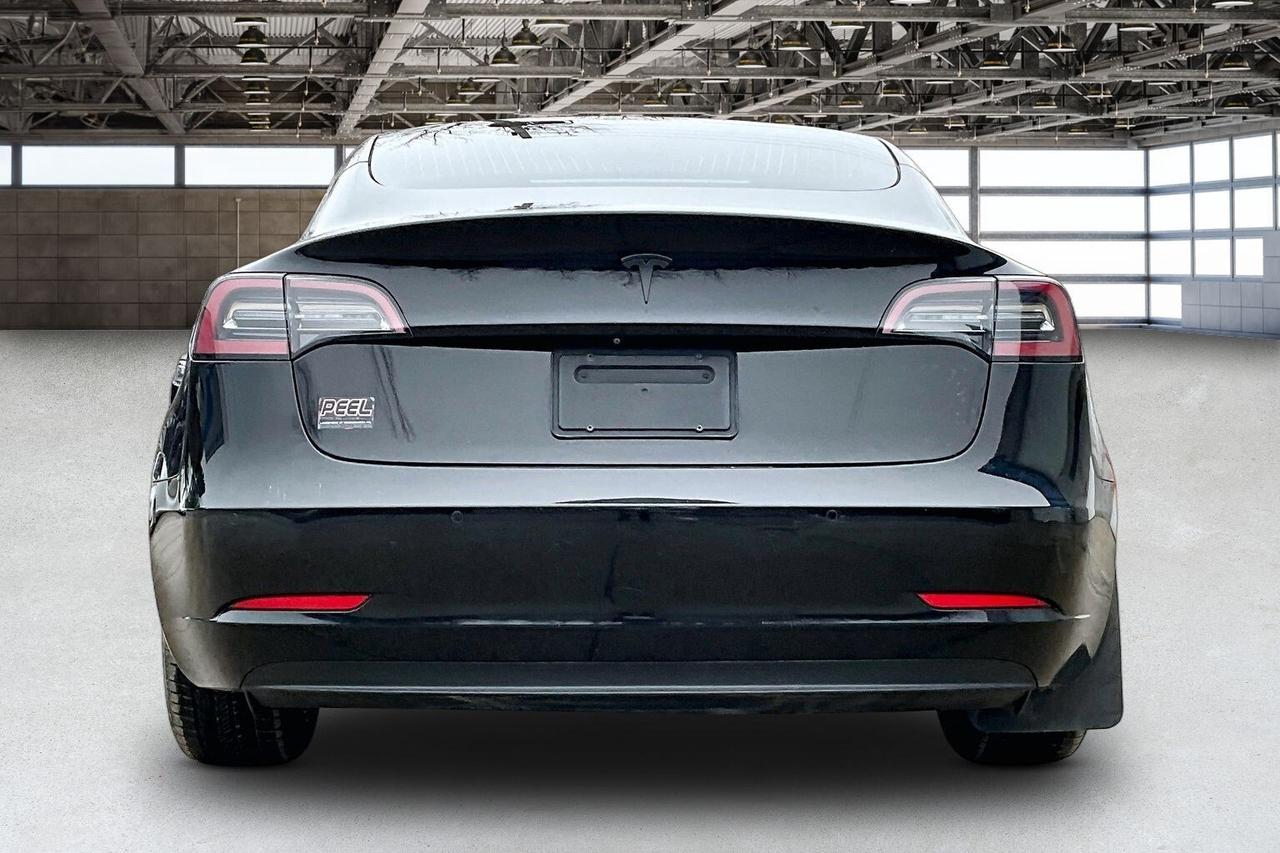 2019 Tesla Model 3 Standard Range Plus RWD Photo