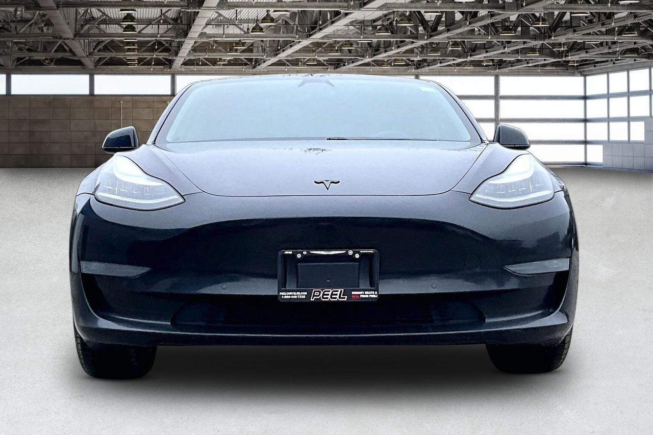 2019 Tesla Model 3 Standard Range Plus RWD Photo
