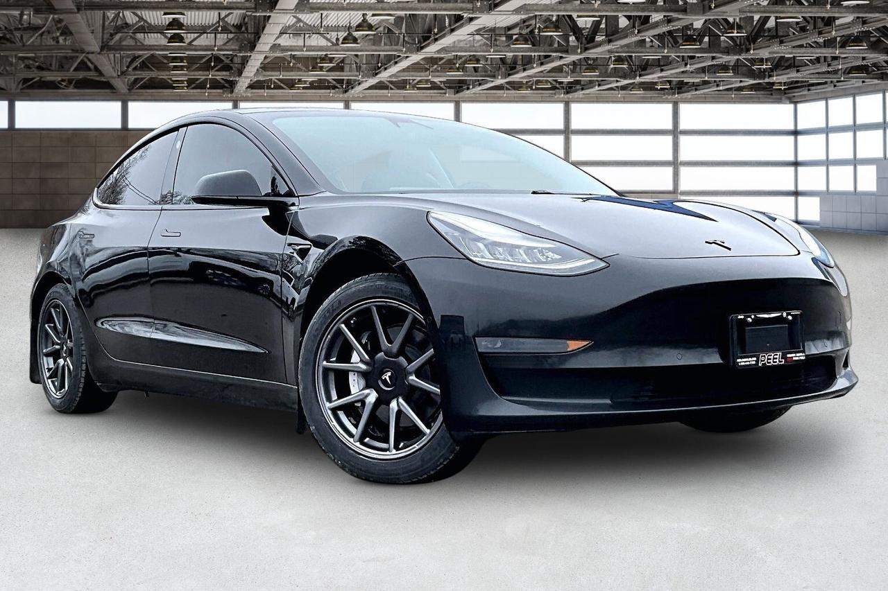 2019 Tesla Model 3 Standard Range Plus RWD Photo