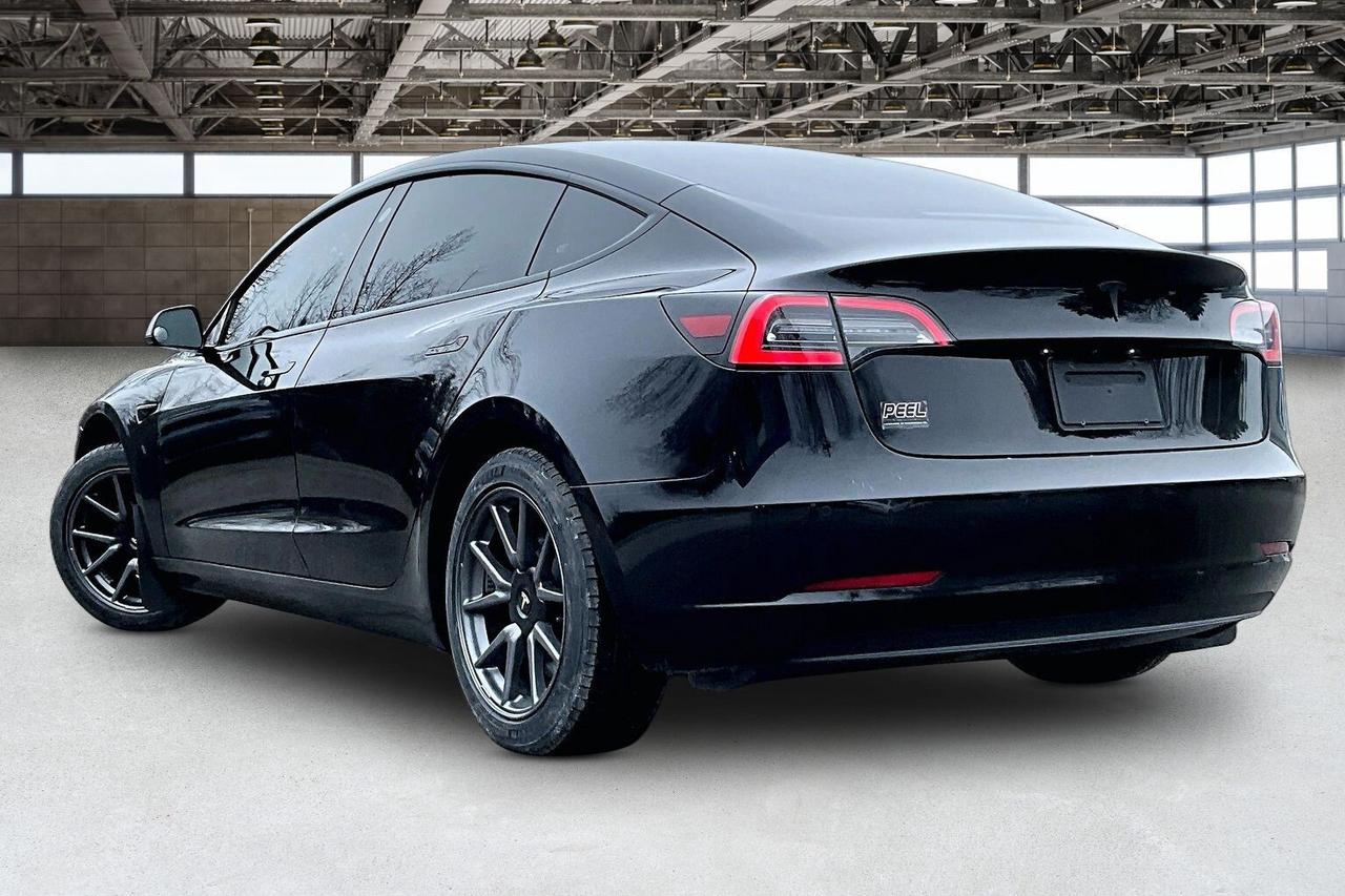 2019 Tesla Model 3 Standard Range Plus RWD Photo