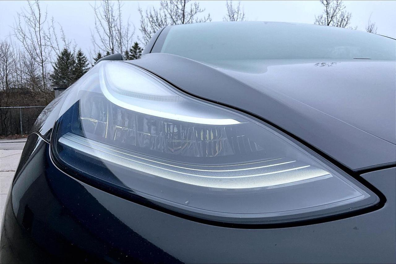 2019 Tesla Model 3 Standard Range Plus RWD Photo