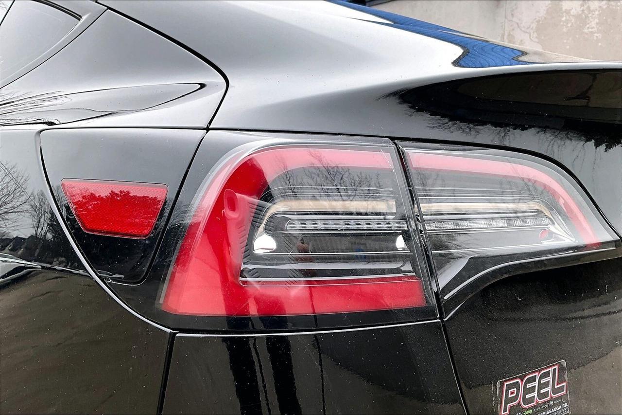 2019 Tesla Model 3 Standard Range Plus RWD Photo