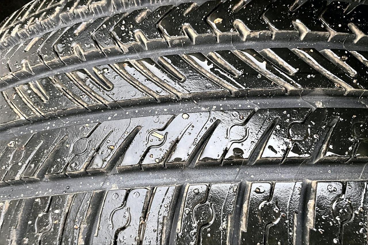 2019 Tesla Model 3 Standard Range Plus RWD Photo