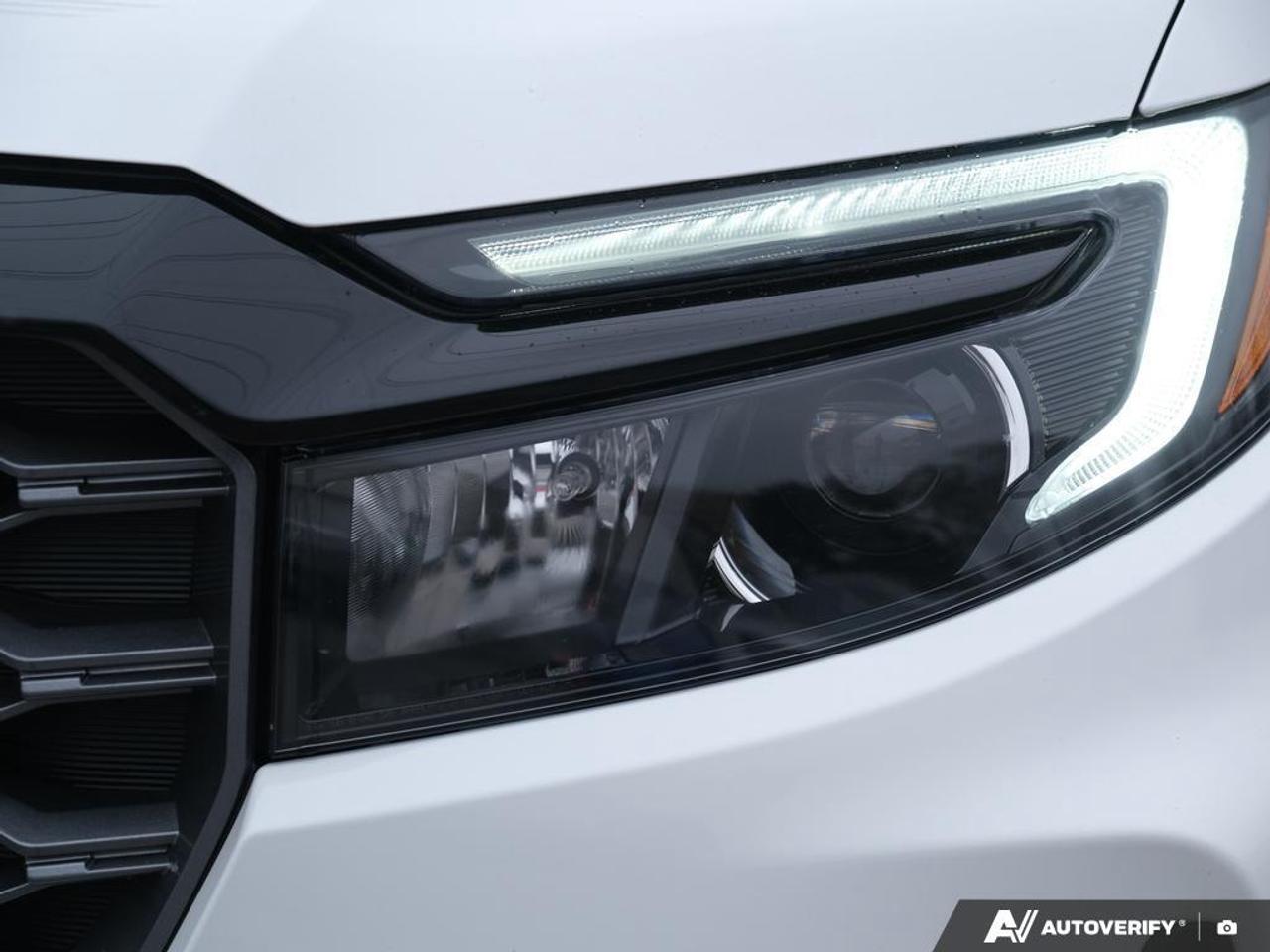 2022 Honda Passport  Photo