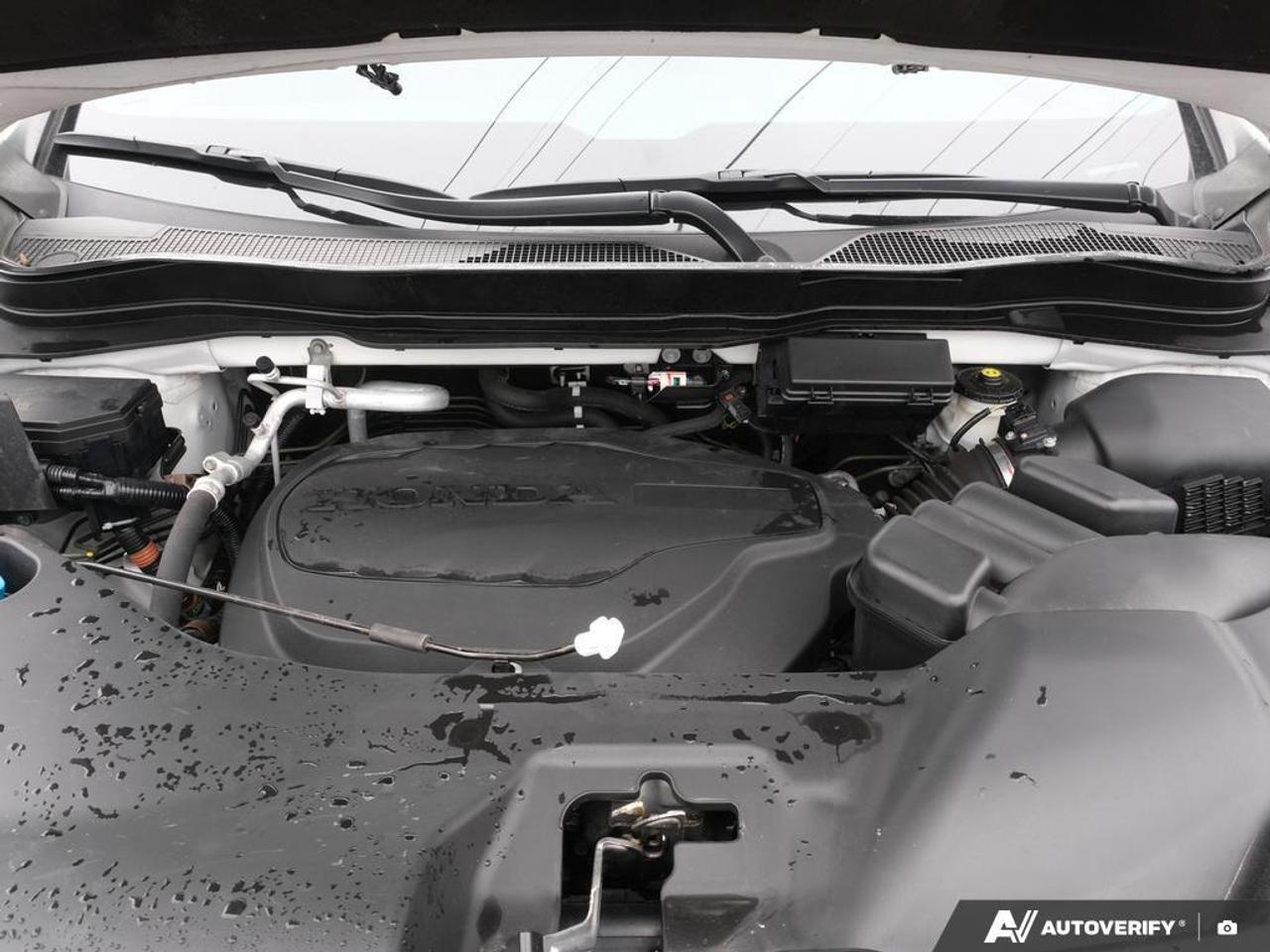 2022 Honda Passport  Photo