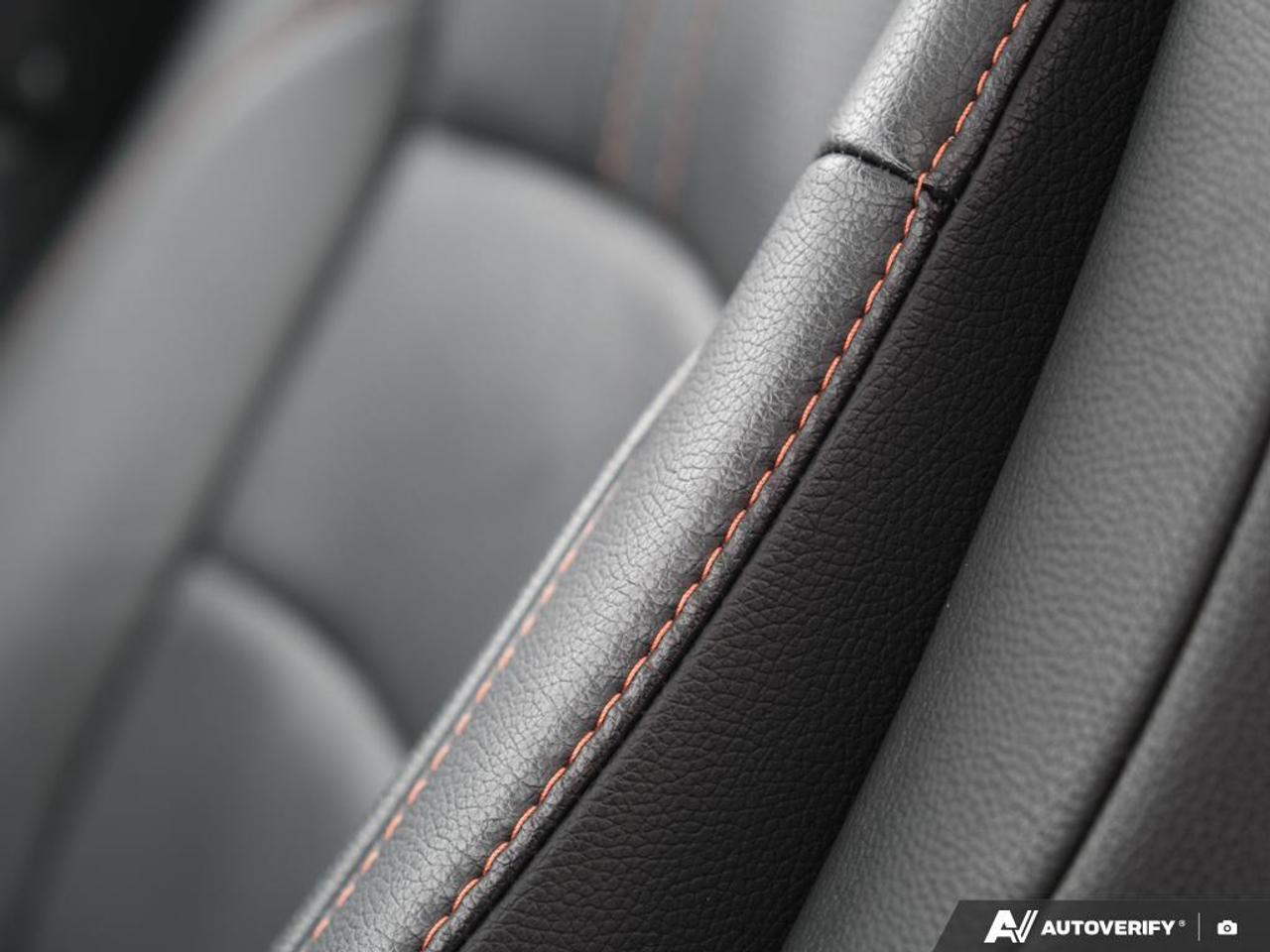 2022 Honda Passport  Photo