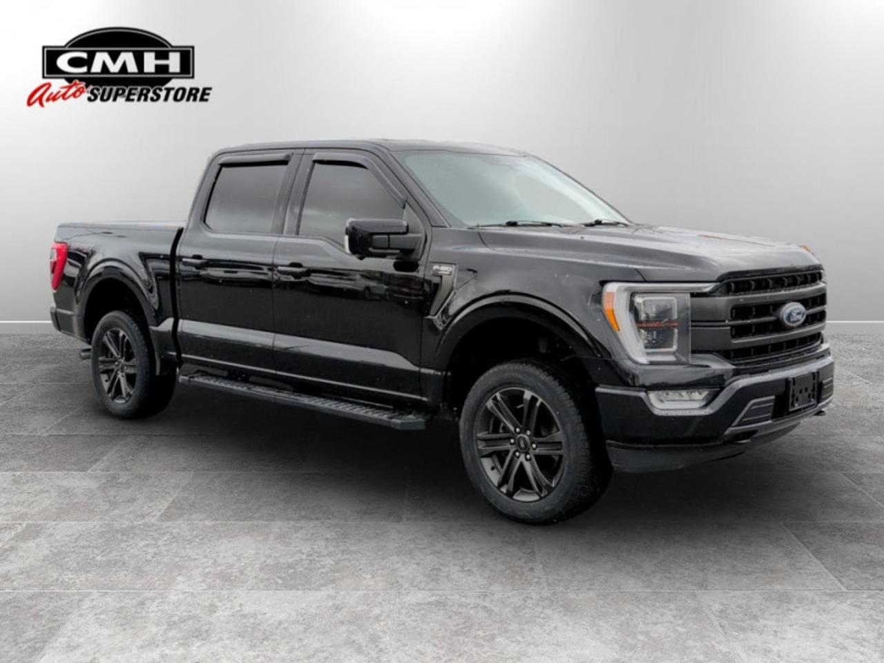 2021 Ford F-150 Lariat Photo