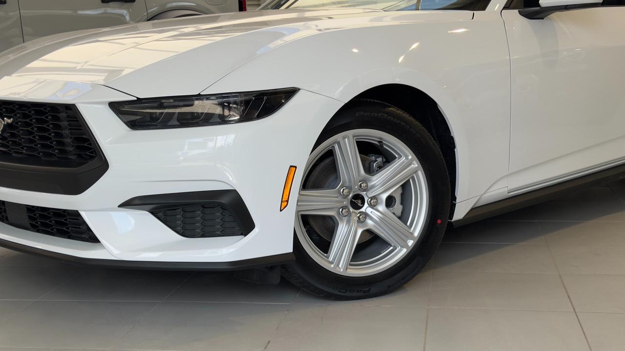 2026 Ford Mustang EcoBoost Fastback Photo