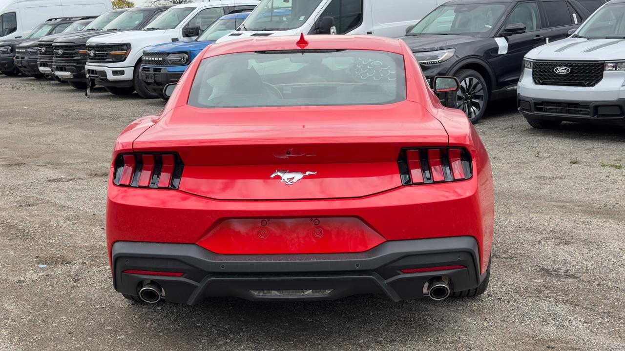 2026 Ford Mustang EcoBoost Fastback Photo