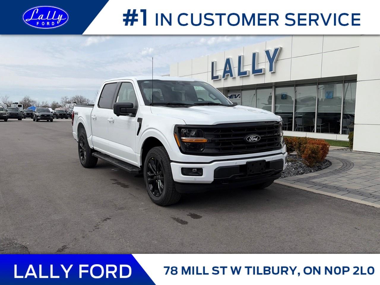 2026 Ford F-150 XLT 4WD SuperCrew 5.5' Box Photo