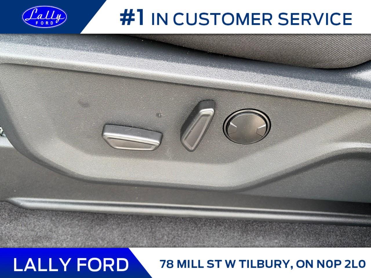 2026 Ford F-150 XLT 4WD SuperCrew 5.5' Box Photo