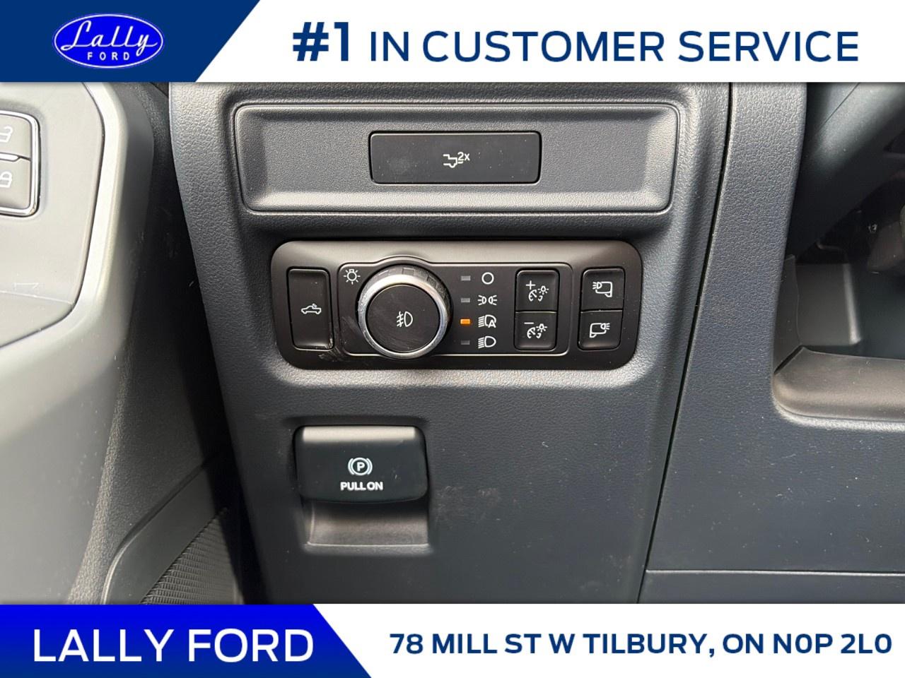 2026 Ford F-150 XLT 4WD SuperCrew 5.5' Box Photo