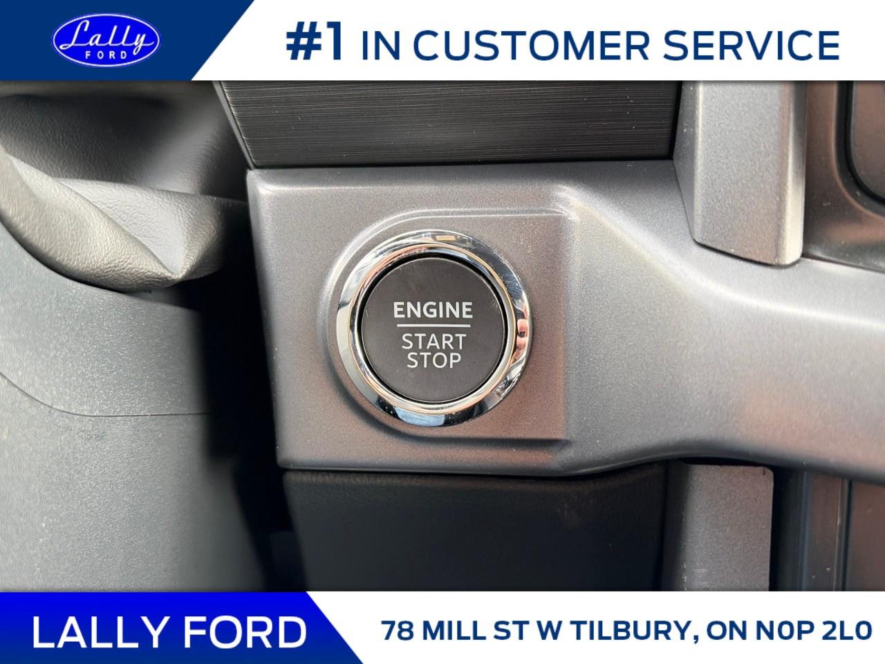 2026 Ford F-150 XLT 4WD SuperCrew 5.5' Box Photo