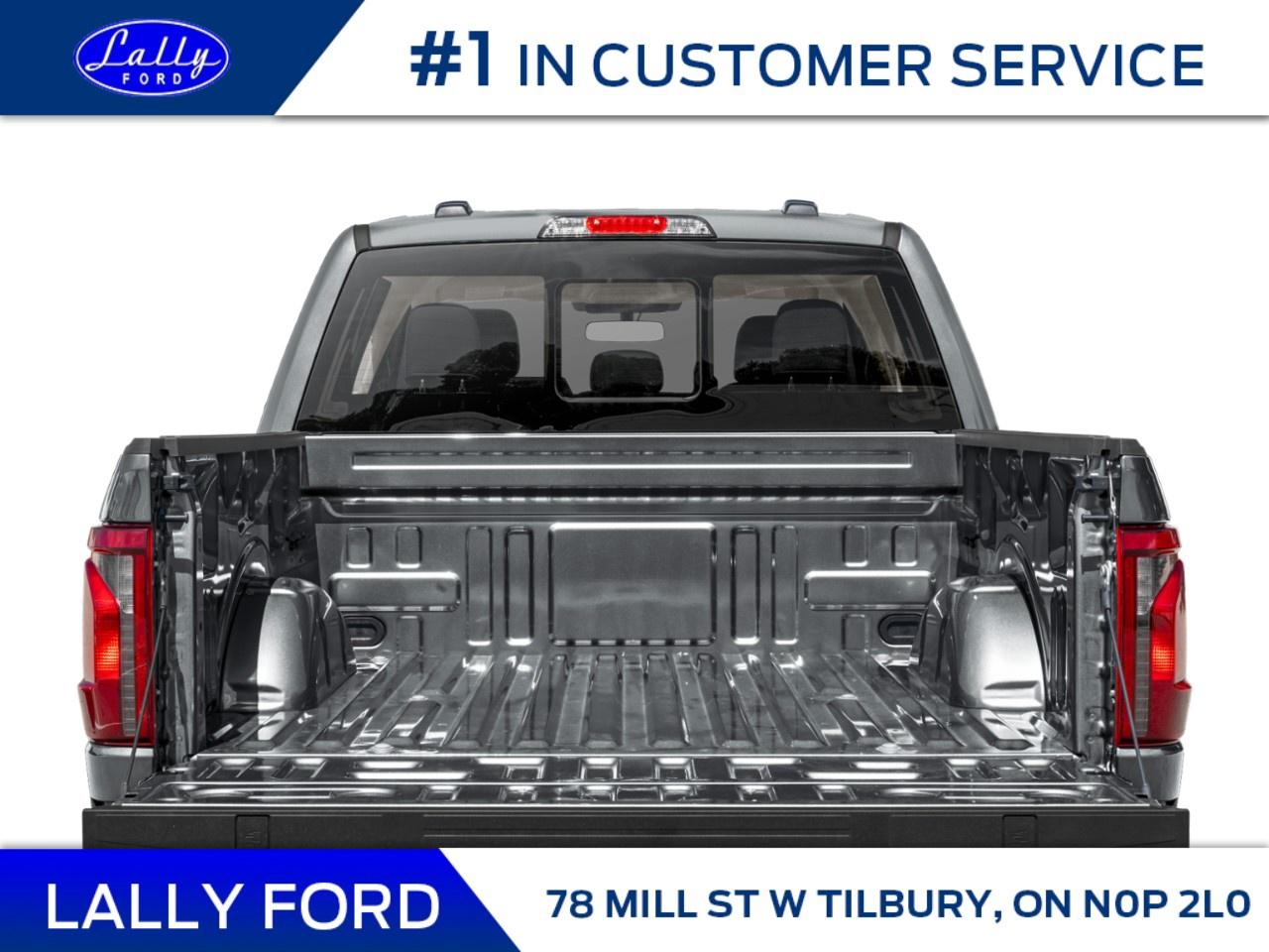 2025 Ford F-150 XLT 4WD SuperCrew 6.5' Box Photo