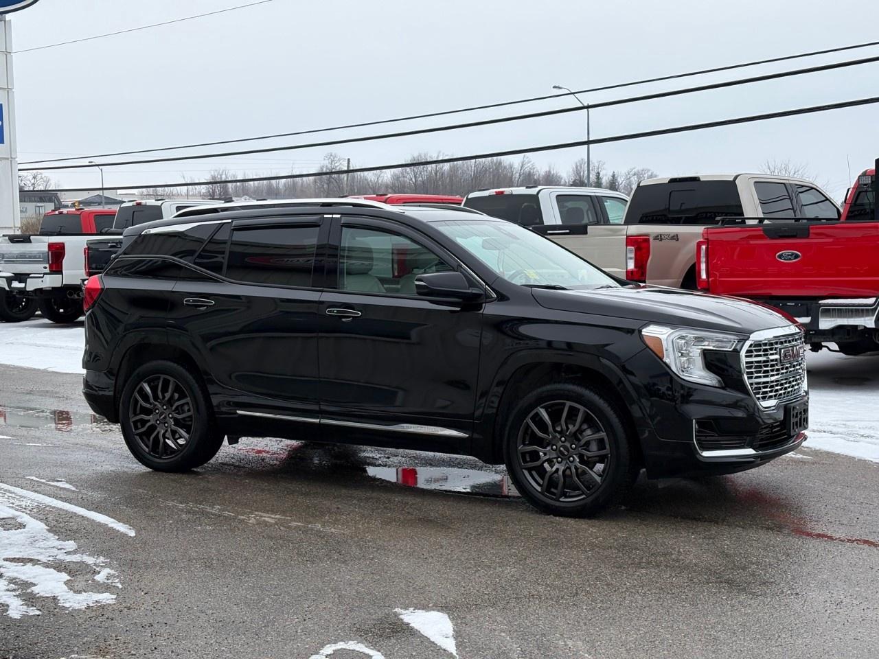 2023 GMC Terrain AWD Denali Photo