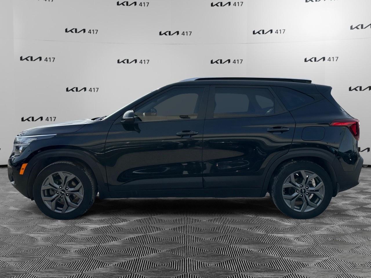 2024 Kia Seltos LX FWD Photo