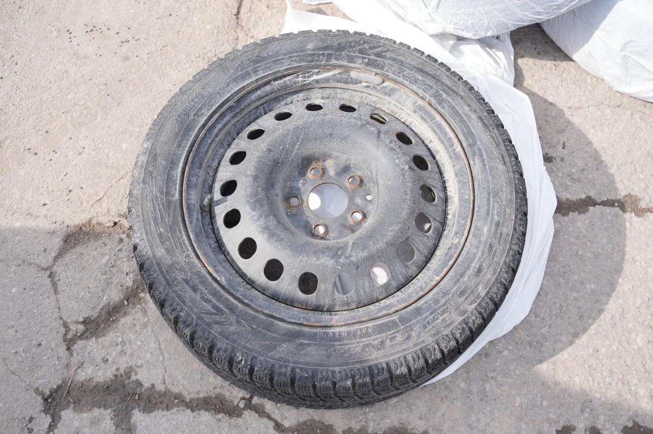 2024 Kia Seltos LX FWD Photo