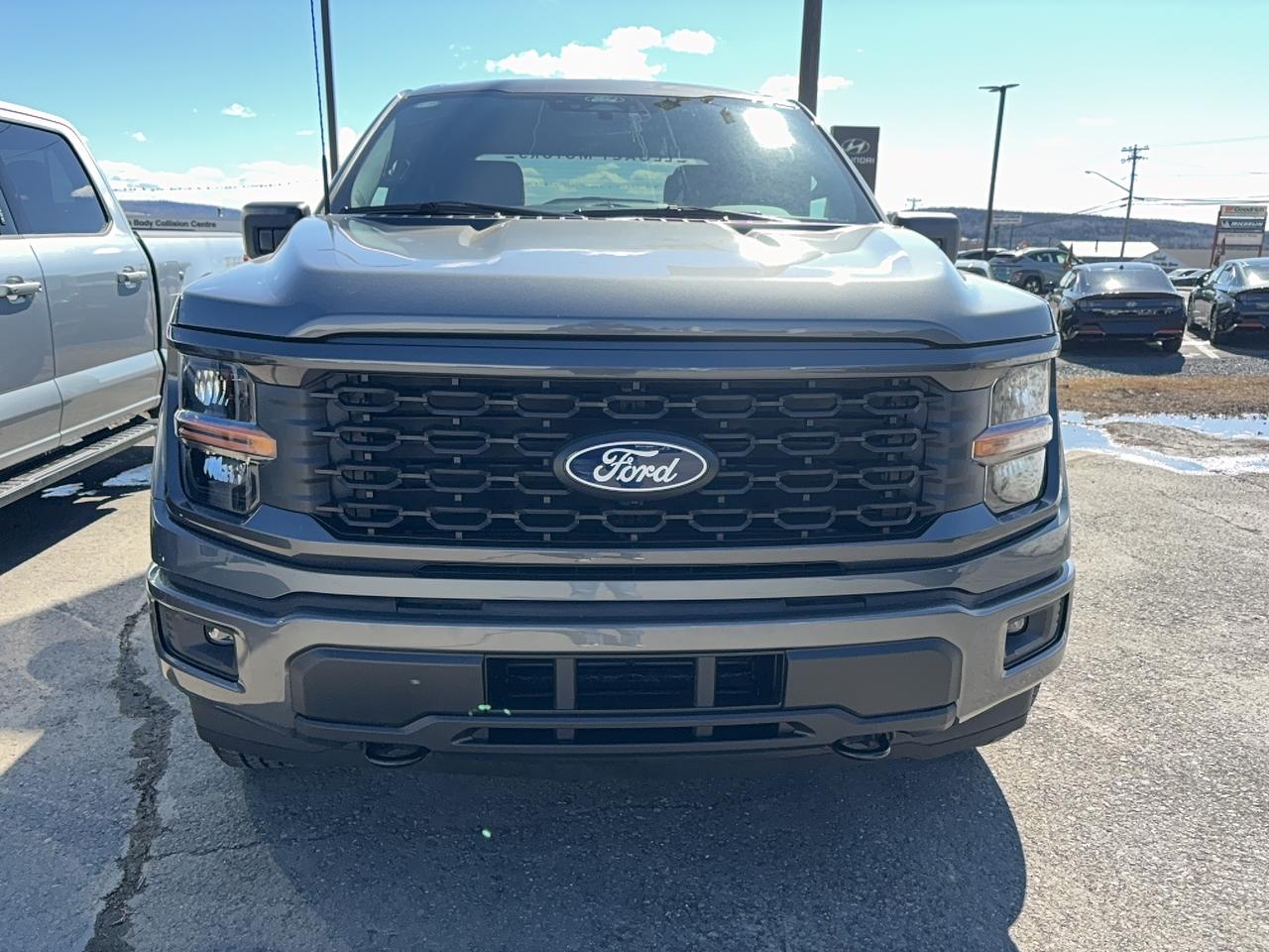 2026 Ford F-150 STX® Photo1