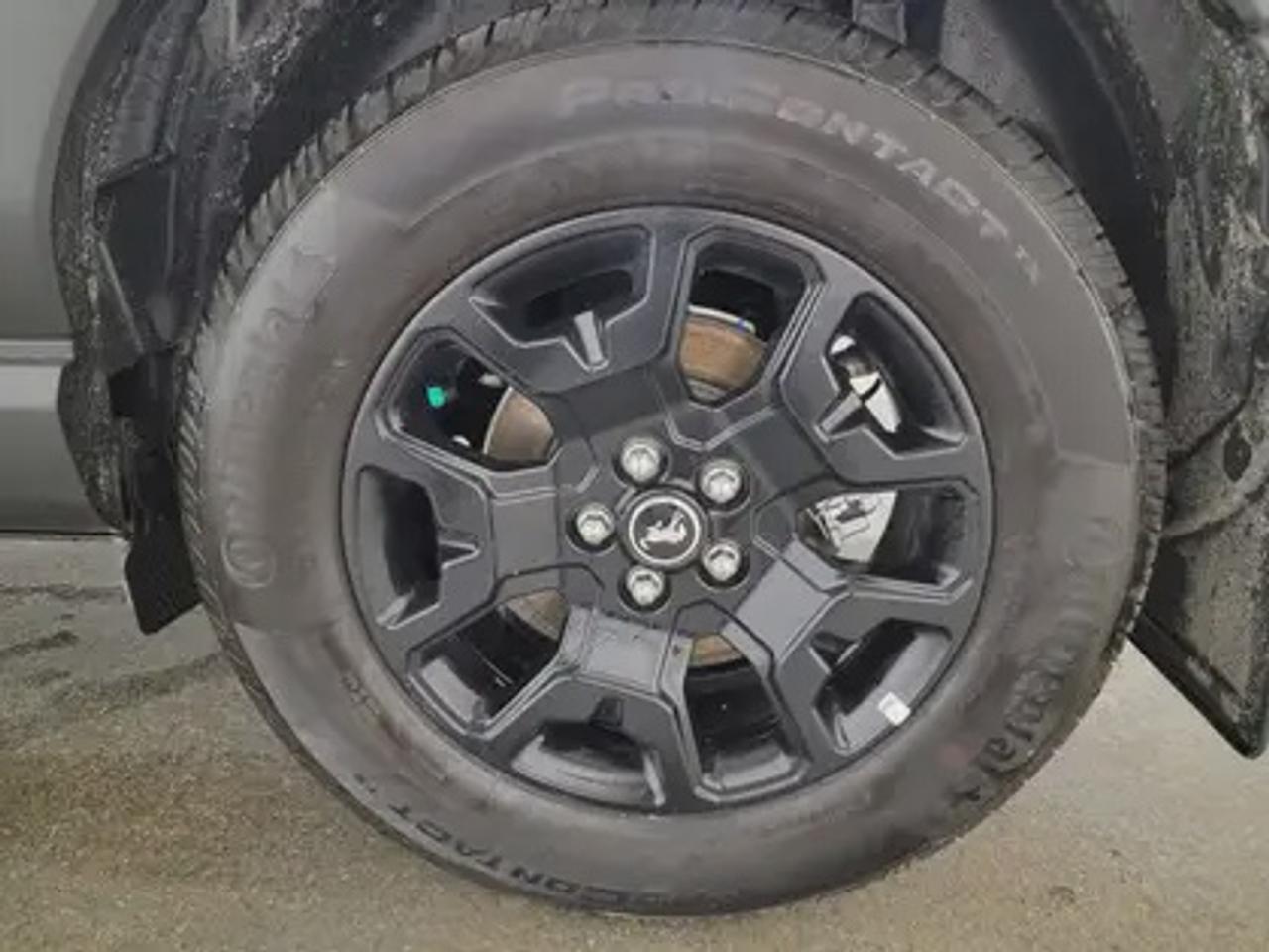 13786446