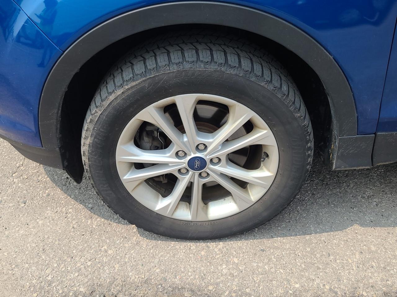 2019 Ford Escape SE Photo