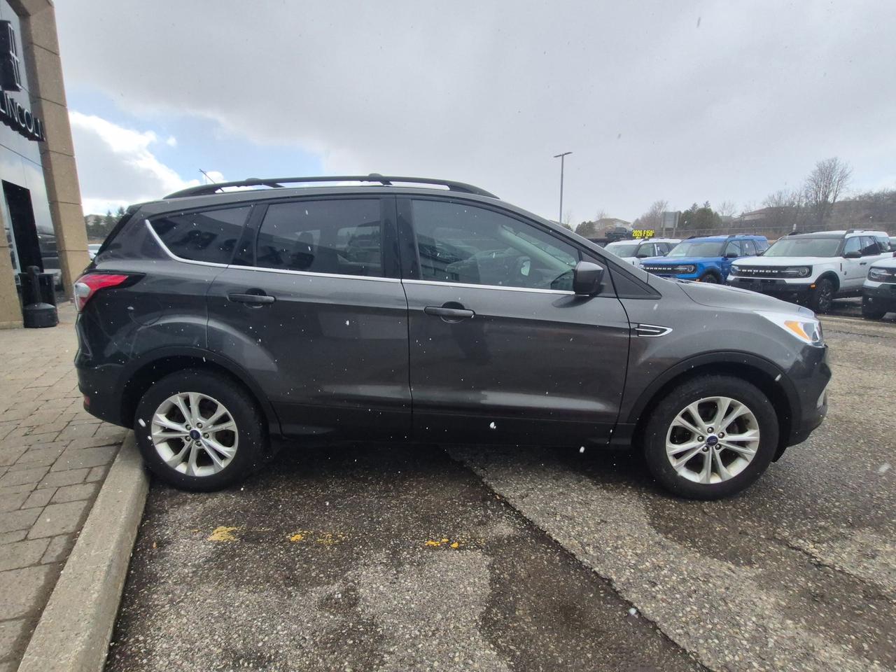 2018 Ford Escape LOCAL TRADE, LOW KM'S! SE MODEL, LIKE NEW! Photo3