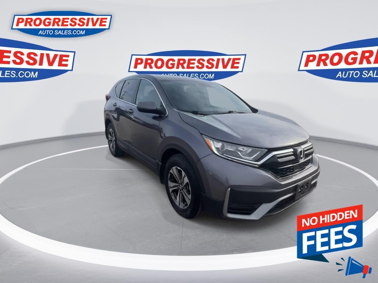 2022 Honda CR-V LX Photo2