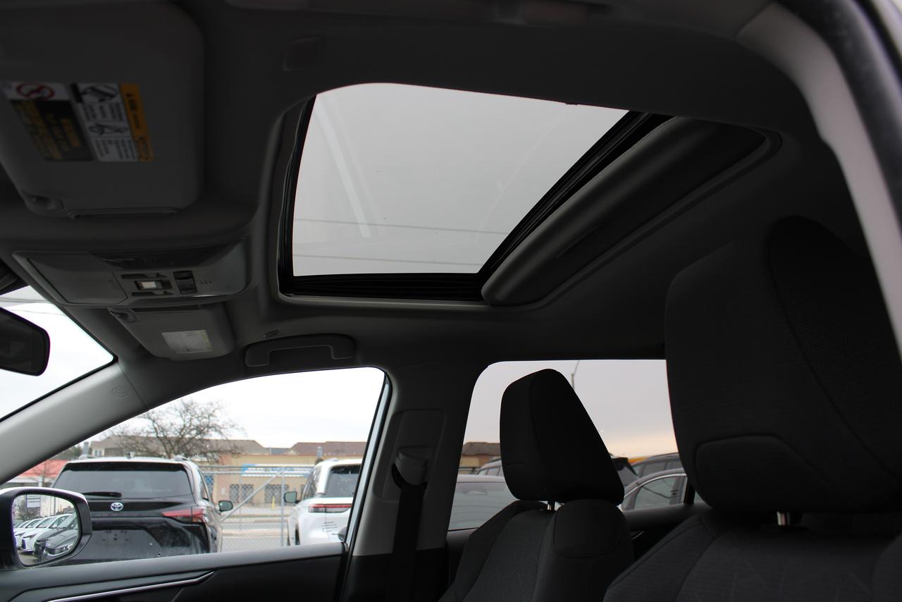 2025 Toyota RAV4 XLE AWD Photo