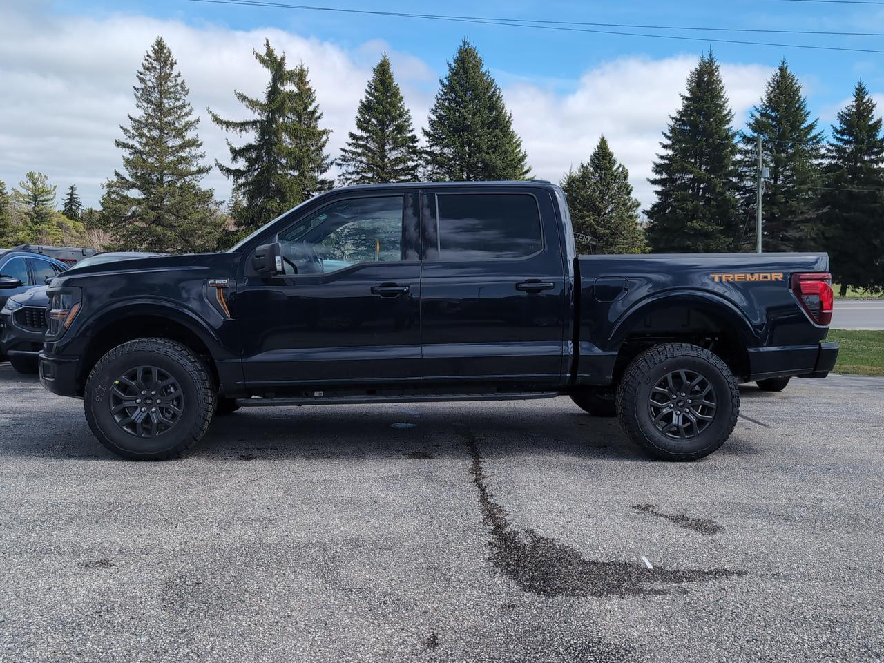 2026 Ford F-150 Tremor SuperCrew 401A 4x4 Photo2