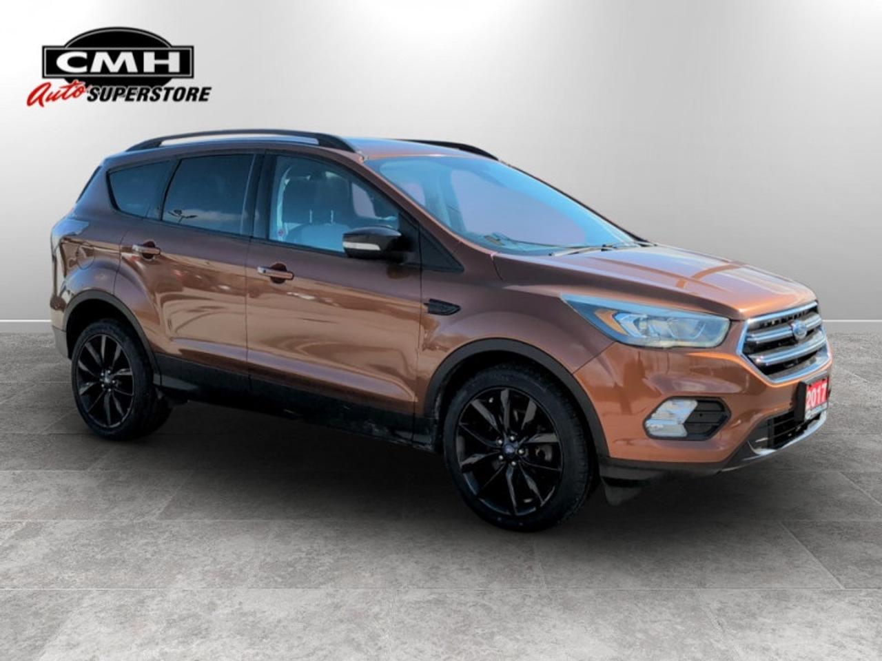 2017 Ford Escape Titanium w/Sport Package  *PANO-ROOF* Photo