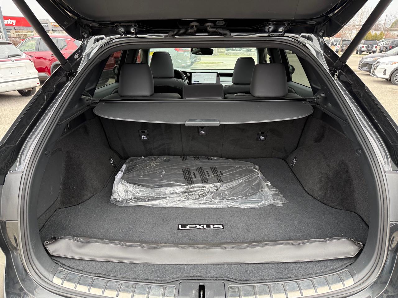 2023 Lexus RX 350  Photo