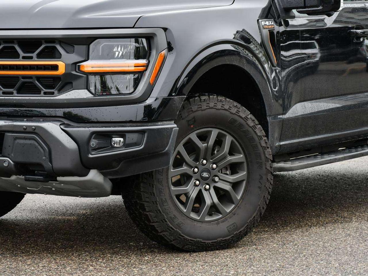 2026 Ford F-150 Tremor Photo