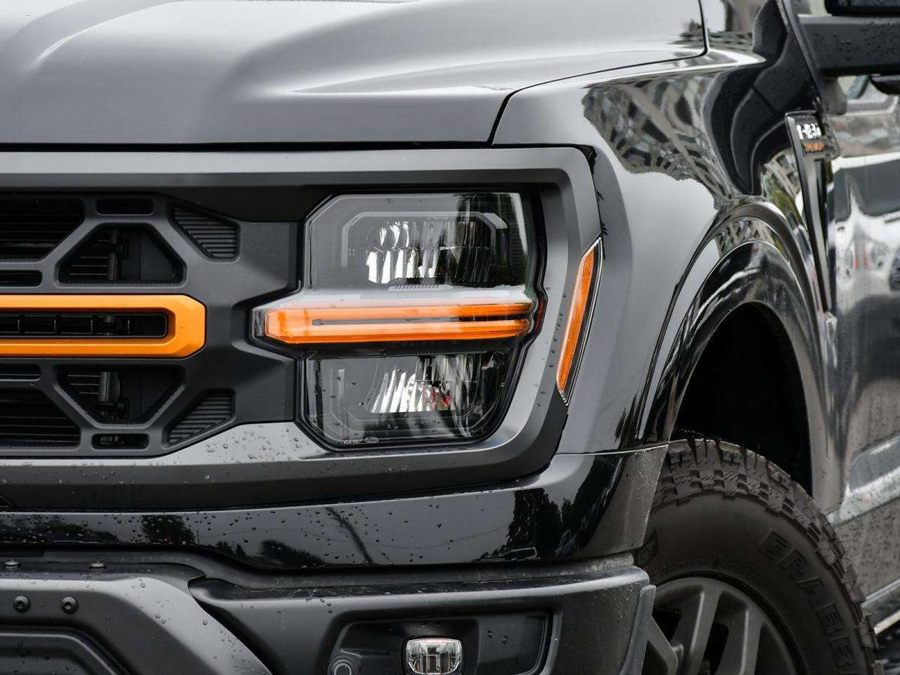 2026 Ford F-150 Tremor Photo