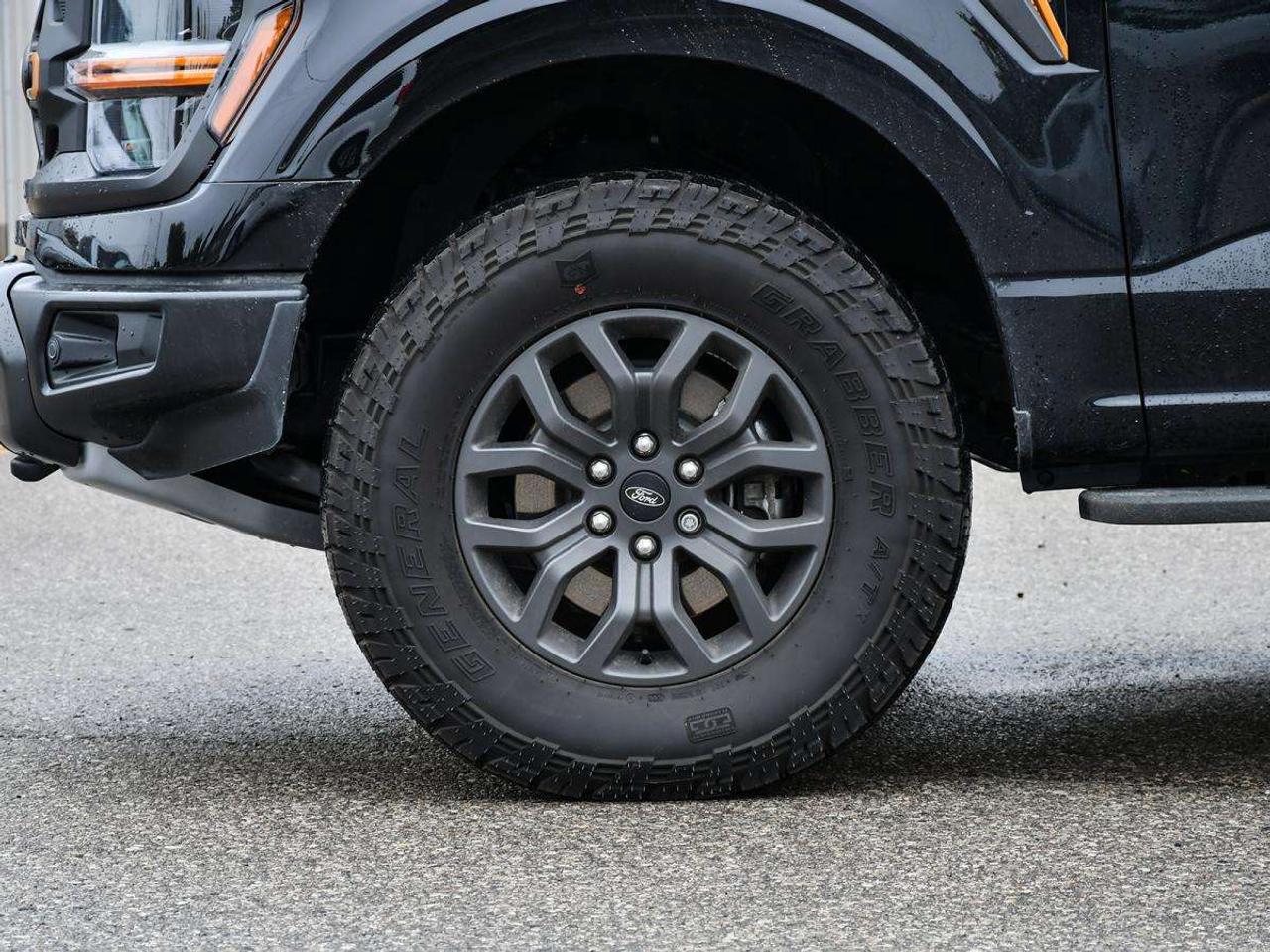 2026 Ford F-150 Tremor Photo