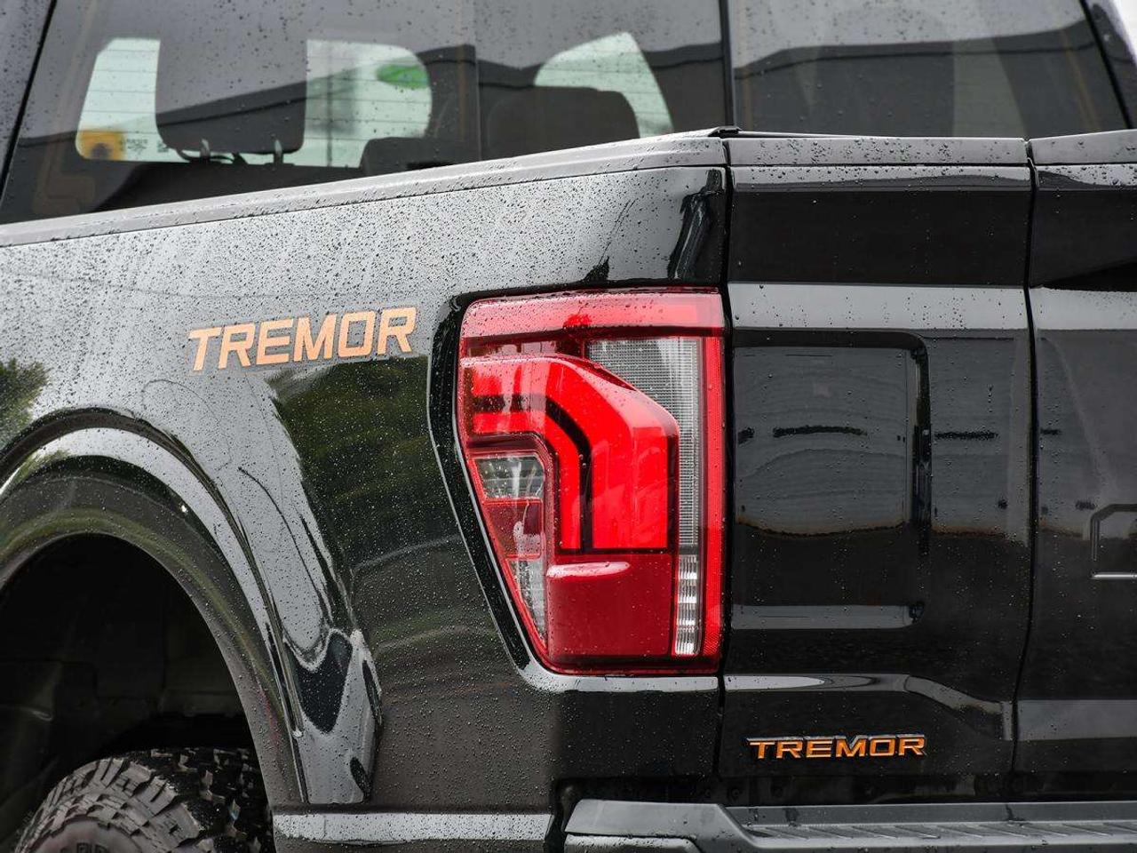 2026 Ford F-150 Tremor Photo